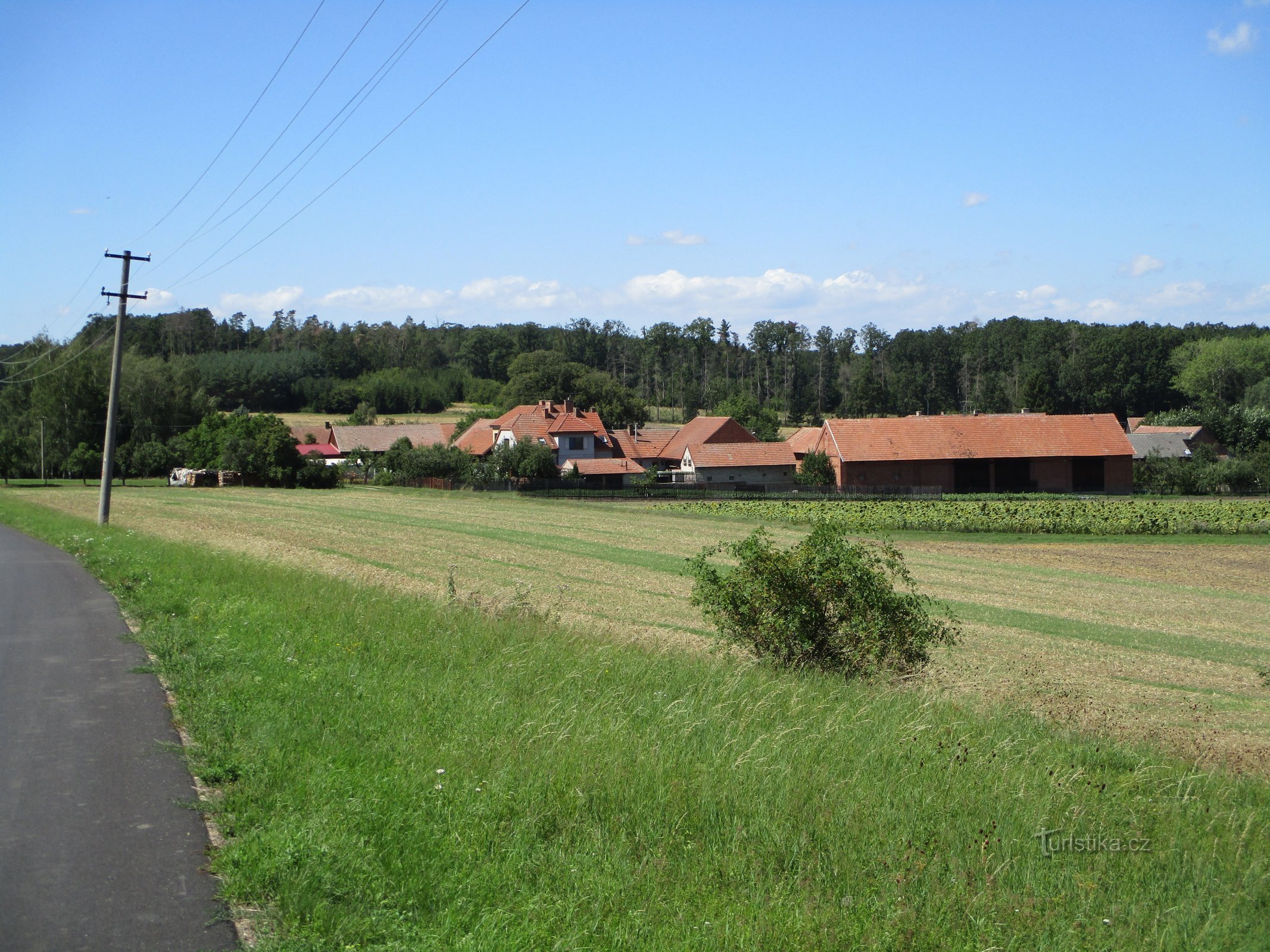 Budín Zvíkovból (18.8.2019.)