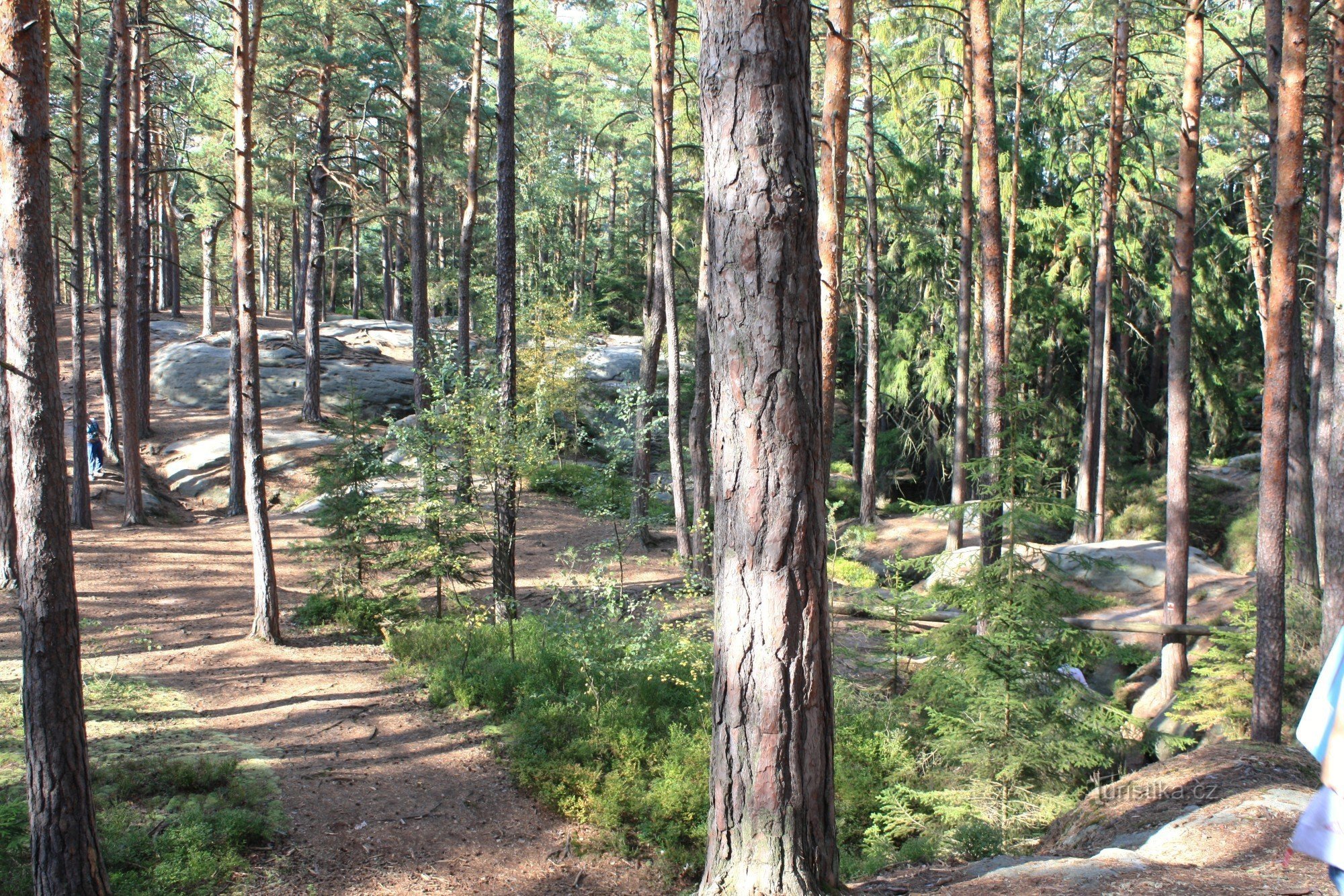 Budislavské skály - Toulovacs stall