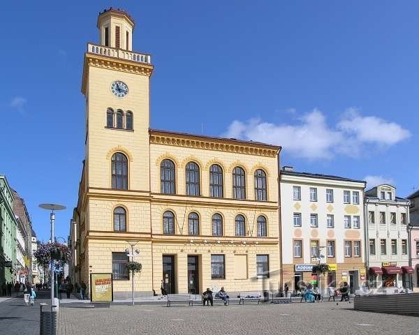 Bygningen af ​​det gamle rådhus, i dag sæde for byens bibliotek