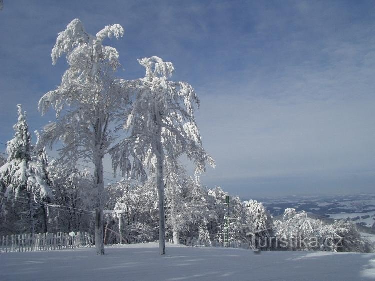 Montagna Di Faggio