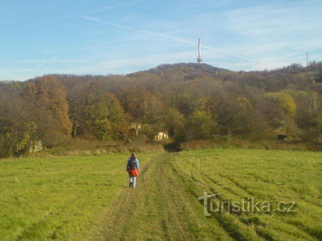 Buková hora(683m)