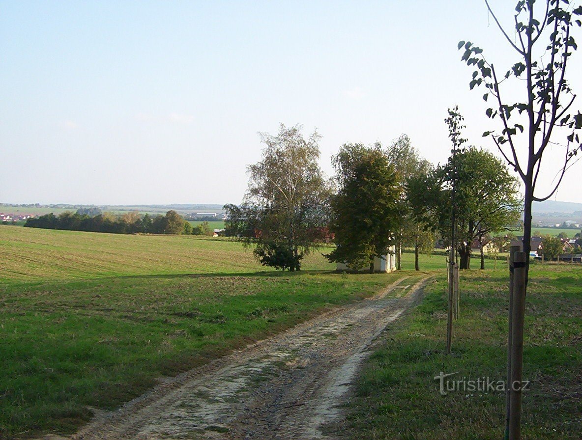 Bukovany-kapel op de onverharde weg van Svatý Kopeček naar Bukovany-Foto: Ulrych Mir.