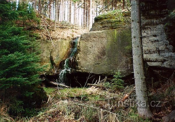 Bukové skály