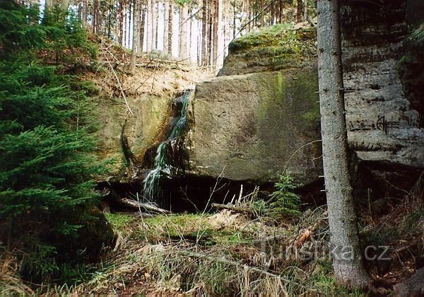 Buchenfelsen