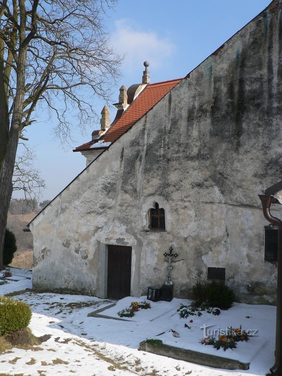 Cây sồi, phía tây của nhà thờ