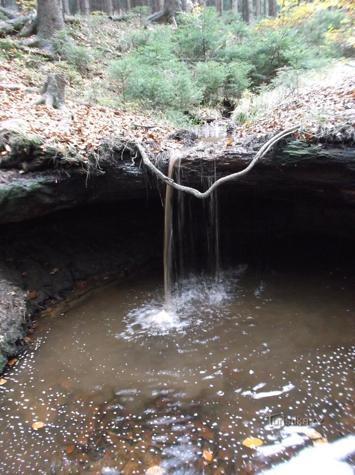 Cascada de haya