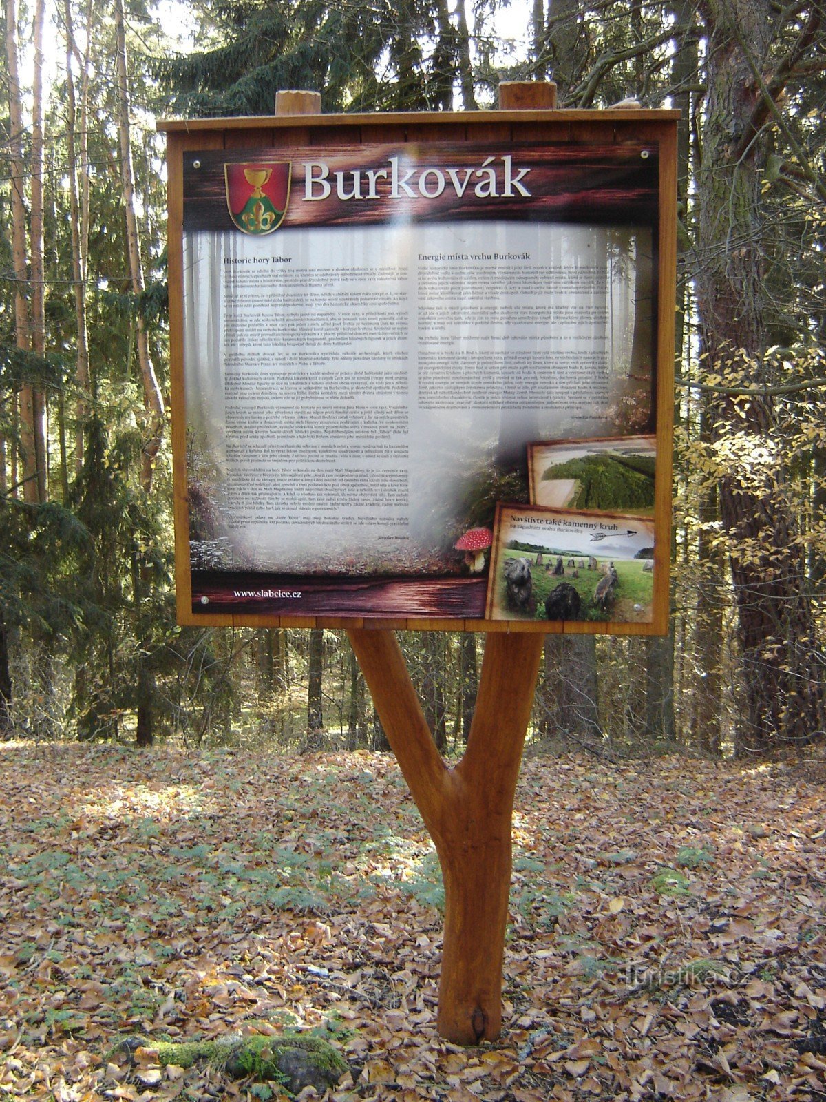 Burkovák - Mt