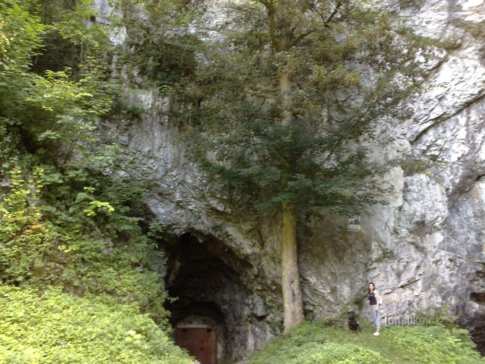 Stierfelsen