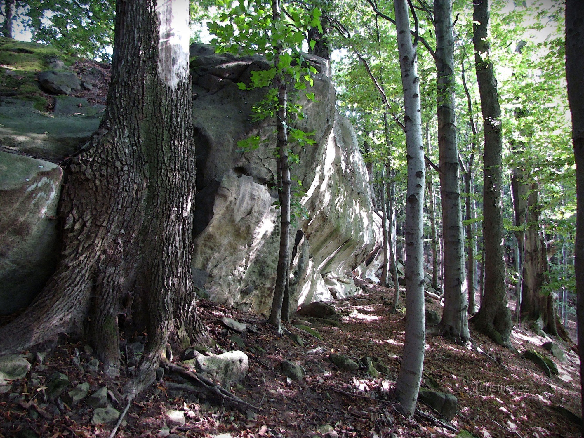 Stierfelsen