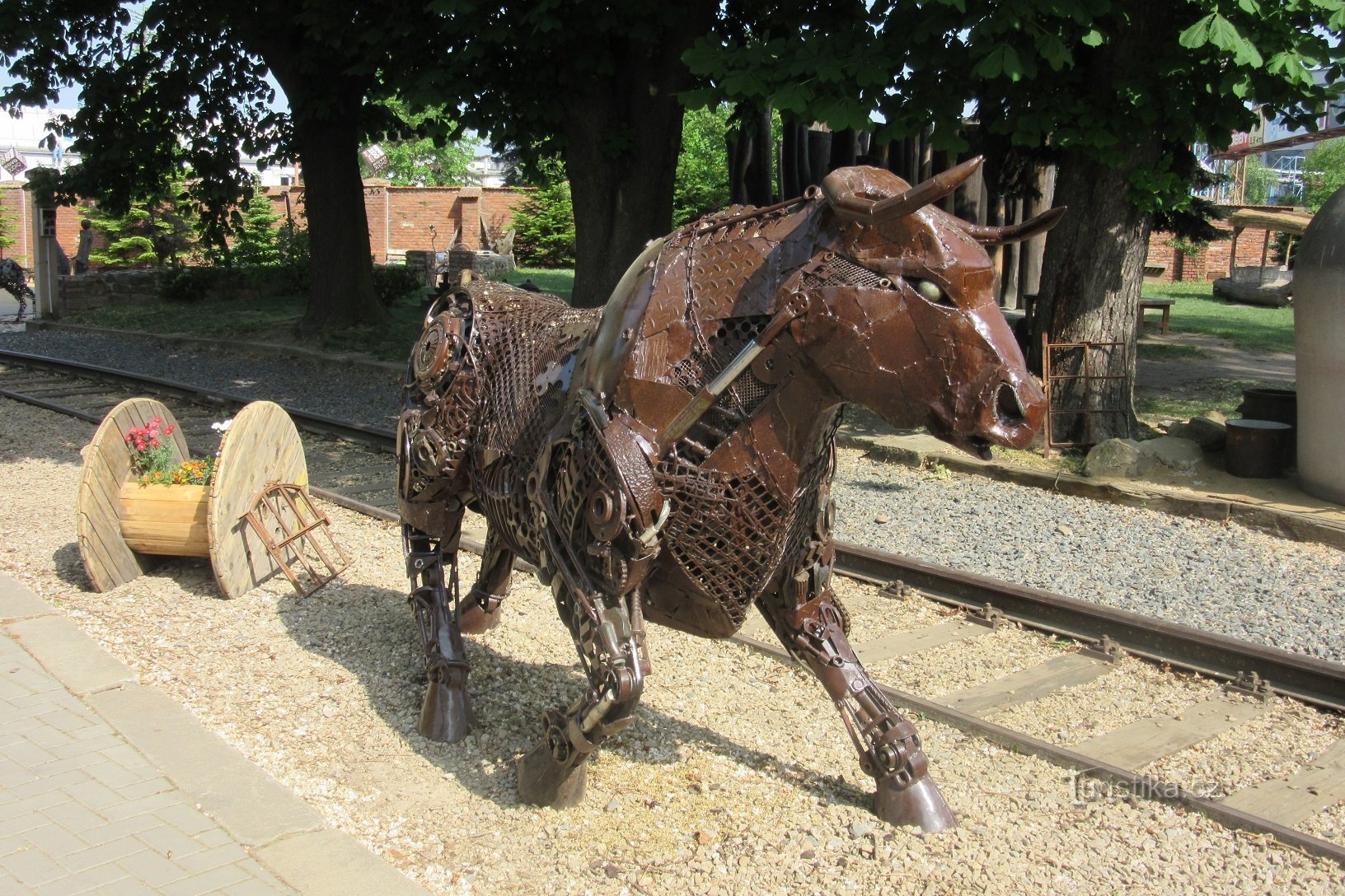 Stier im Kovozoo