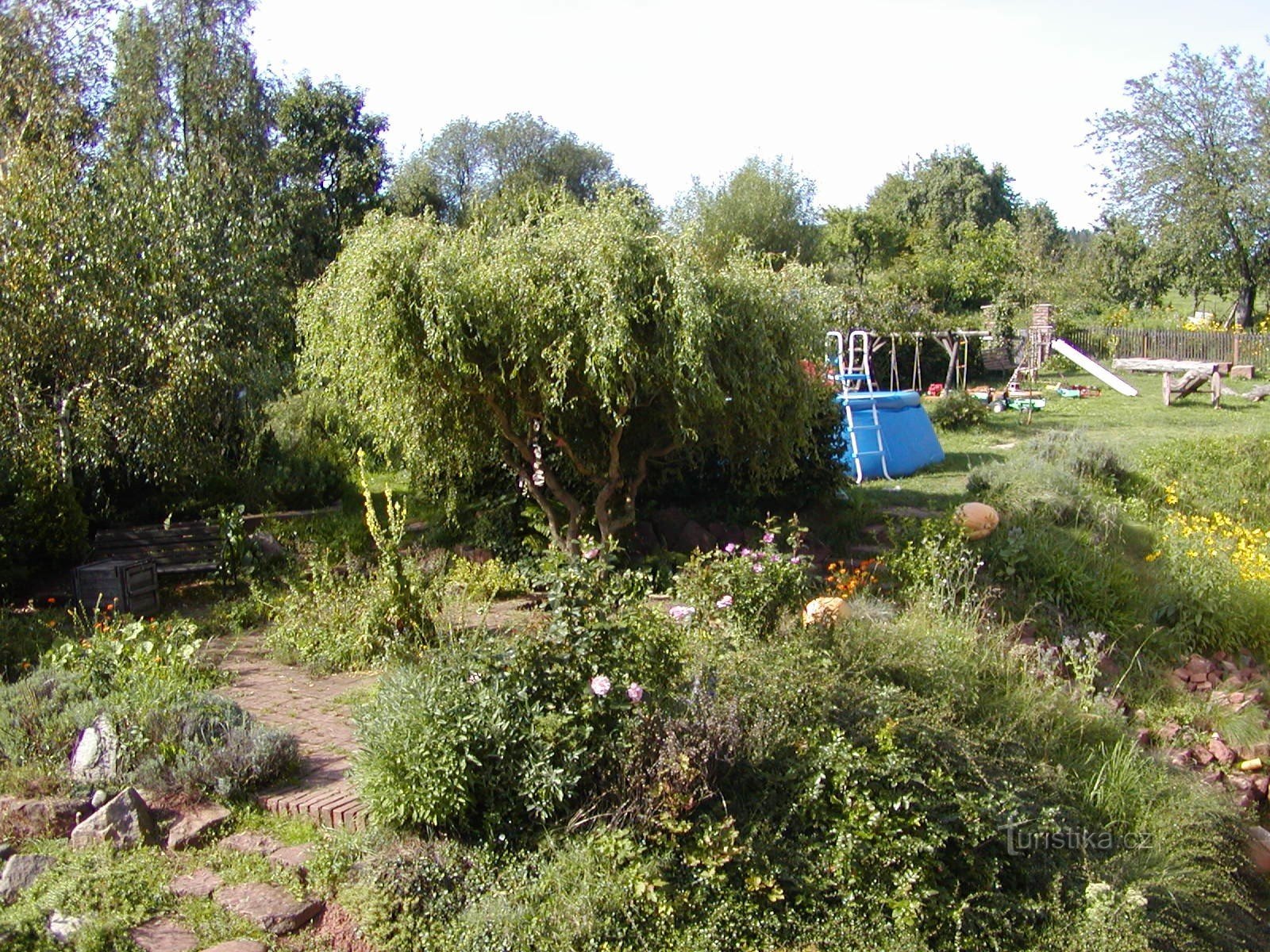grădină cu plante medicinale