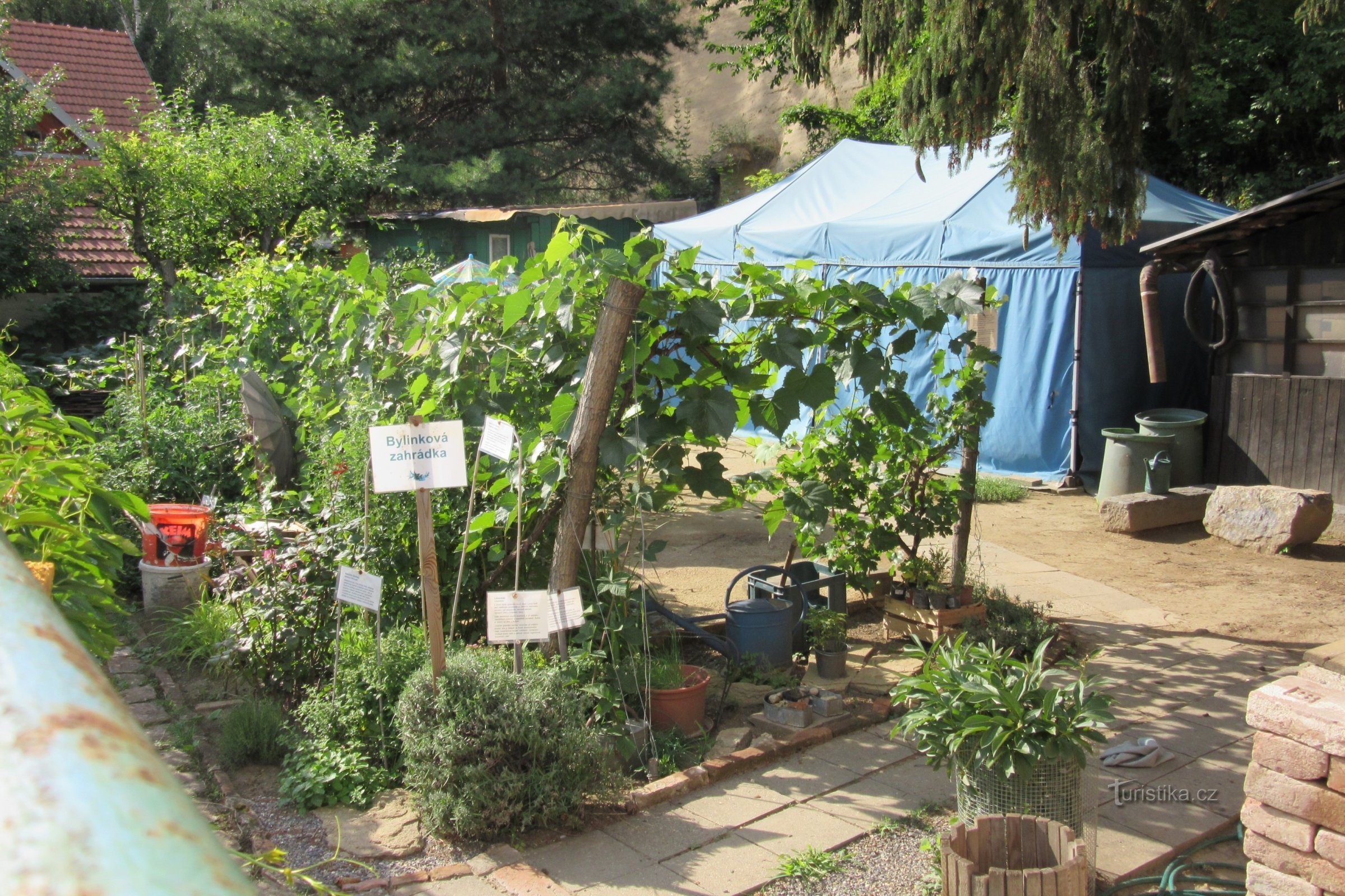 Herb garden