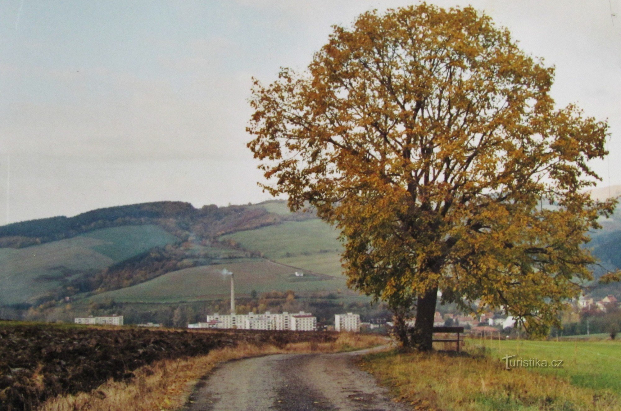 Bylnický les and Březová from the slopes of Holé vrch