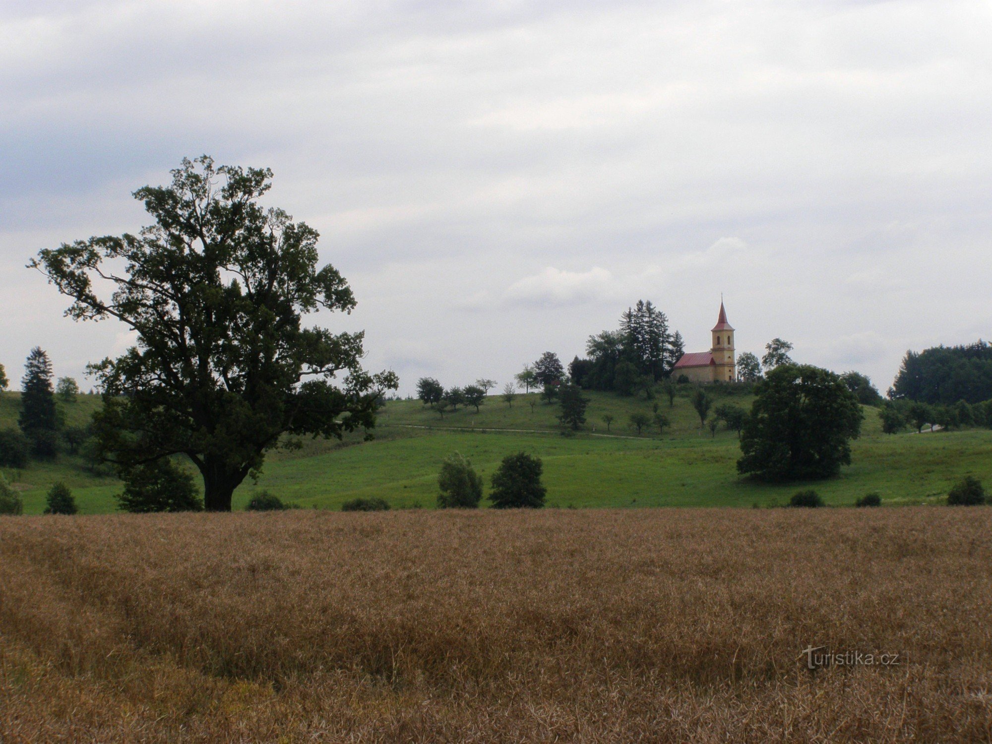 Cățelele