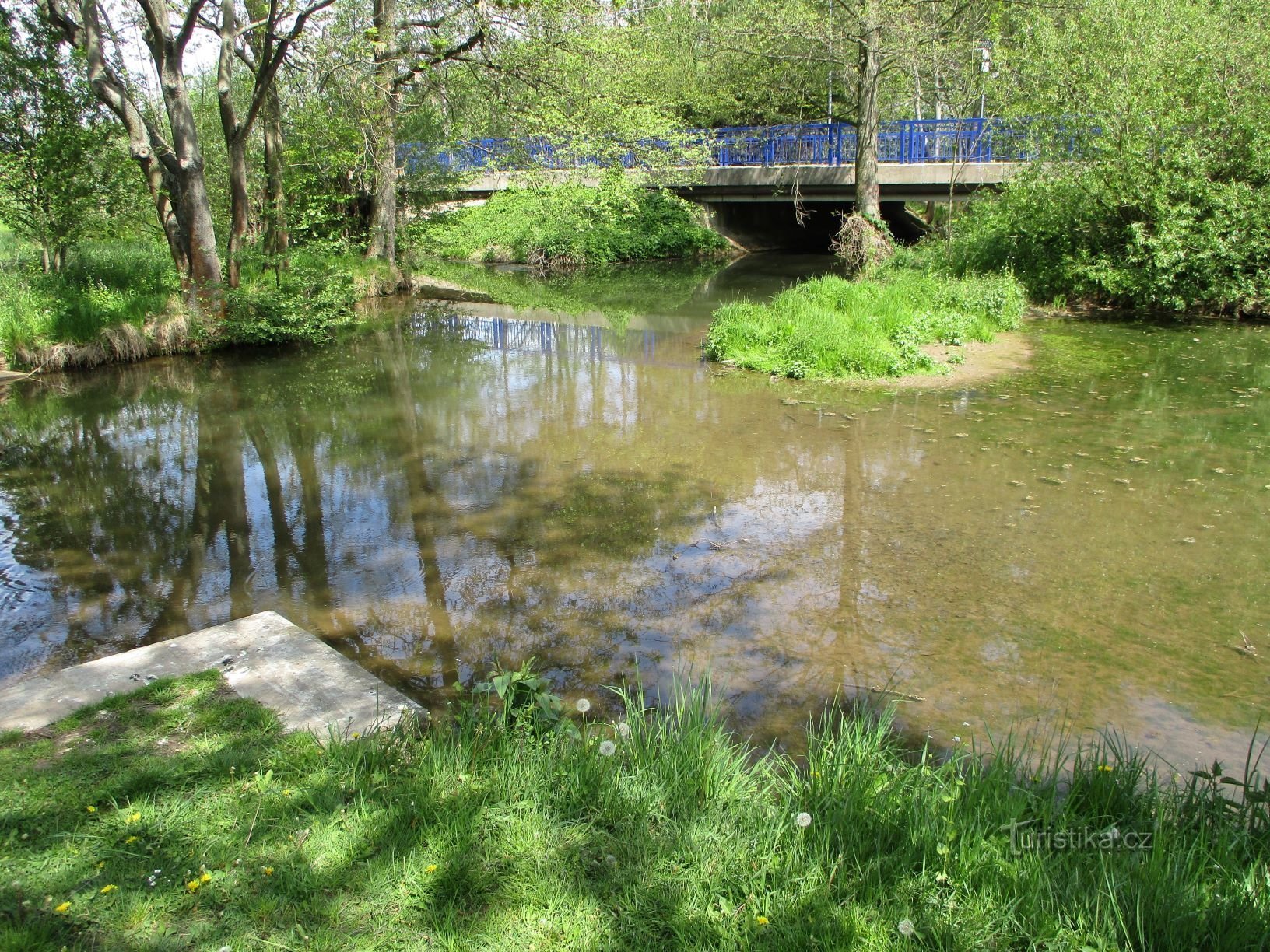 Bystřice (Dohalice, 8.5.2020 maggio XNUMX)