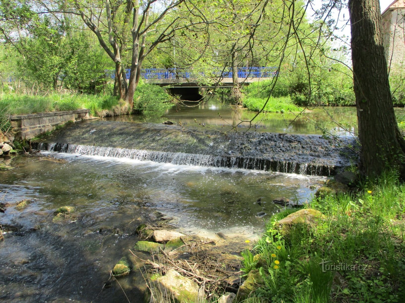 Bystřice (Dohalice, 8.5.2020 de mayo de XNUMX)