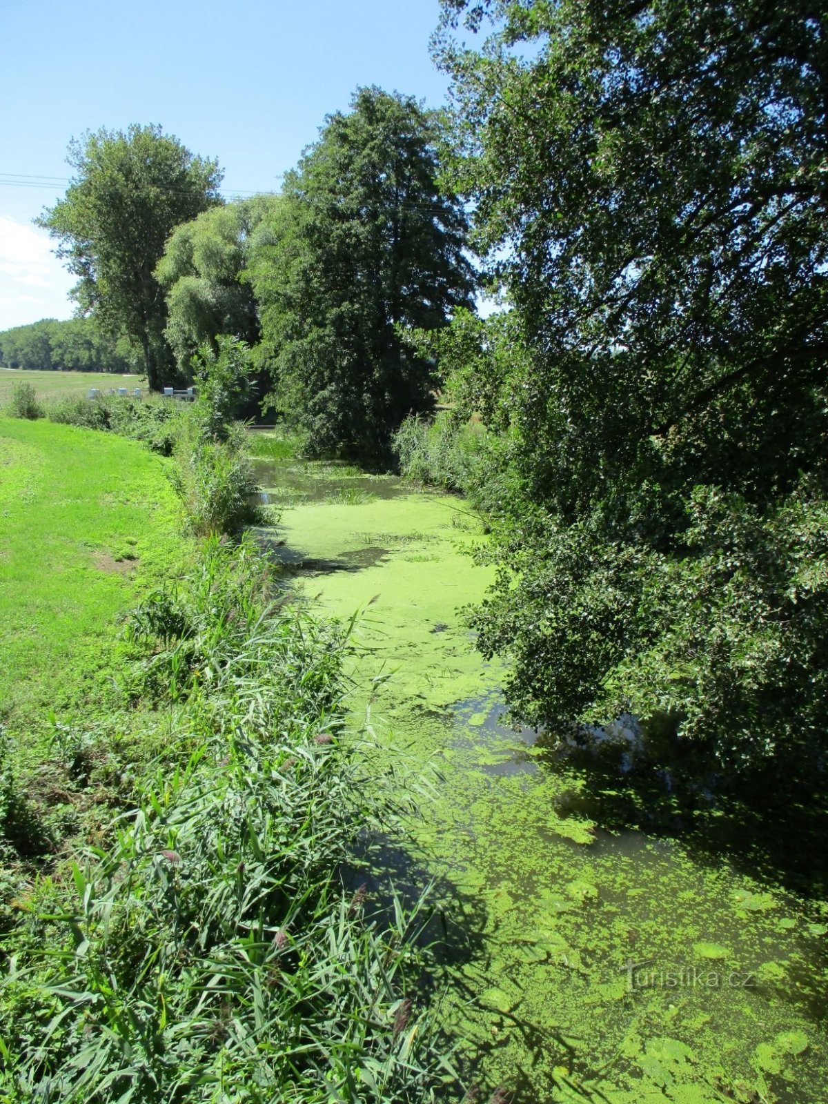 Bystřice (Roudnice, 18.8.2019.)