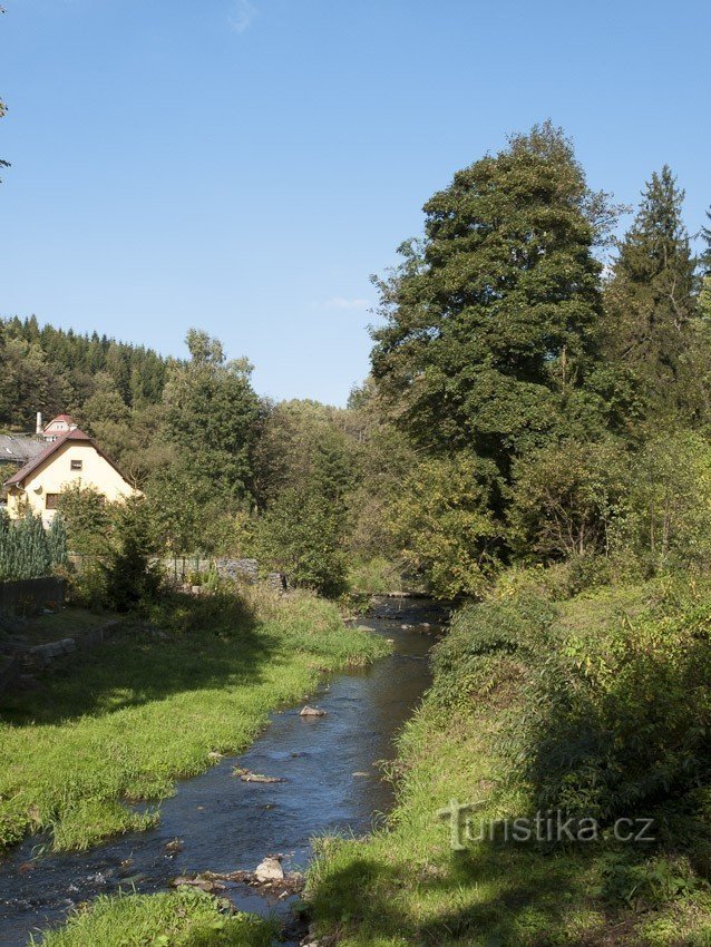 Bystřice in Domašov nad Bystřicí