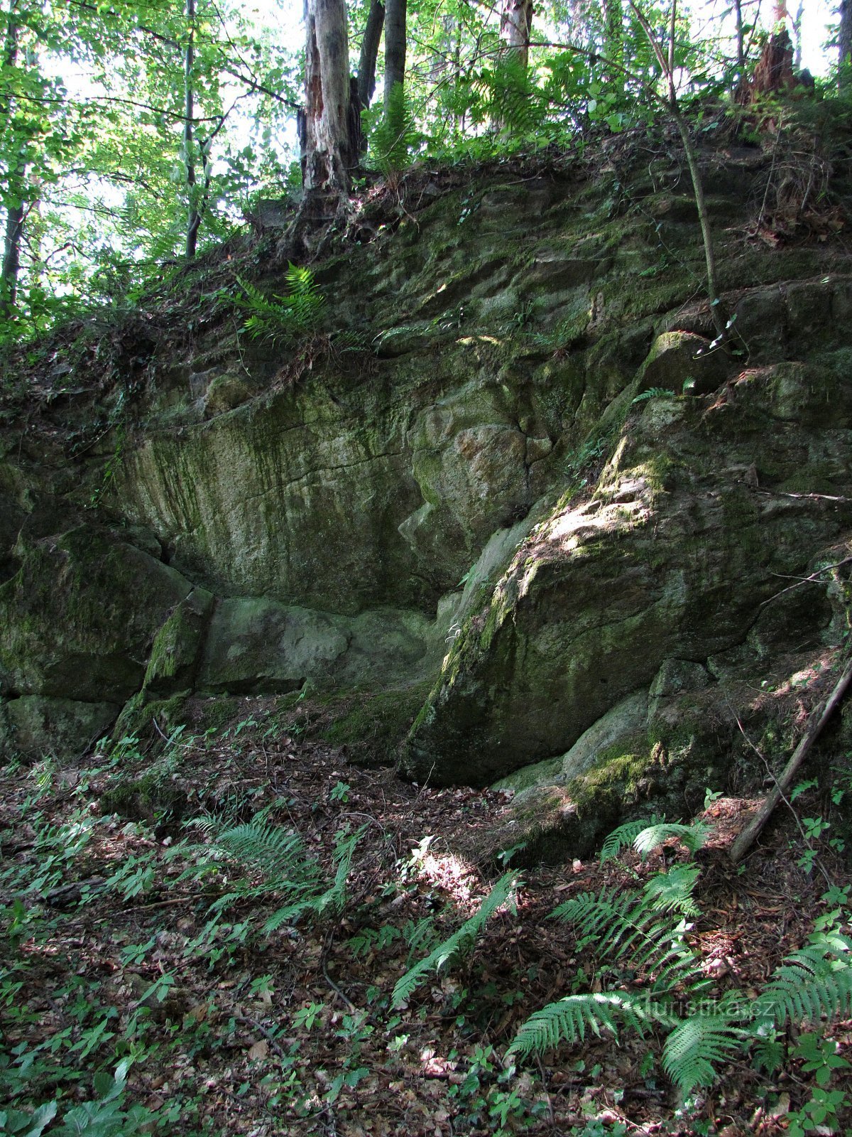 Bystřička - Rudovousova Steingarten