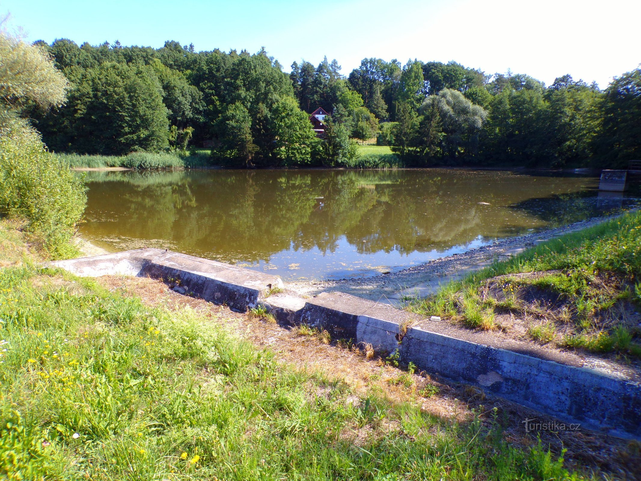 Býšť pond (Býšť, 3.8.2022/XNUMX/XNUMX)