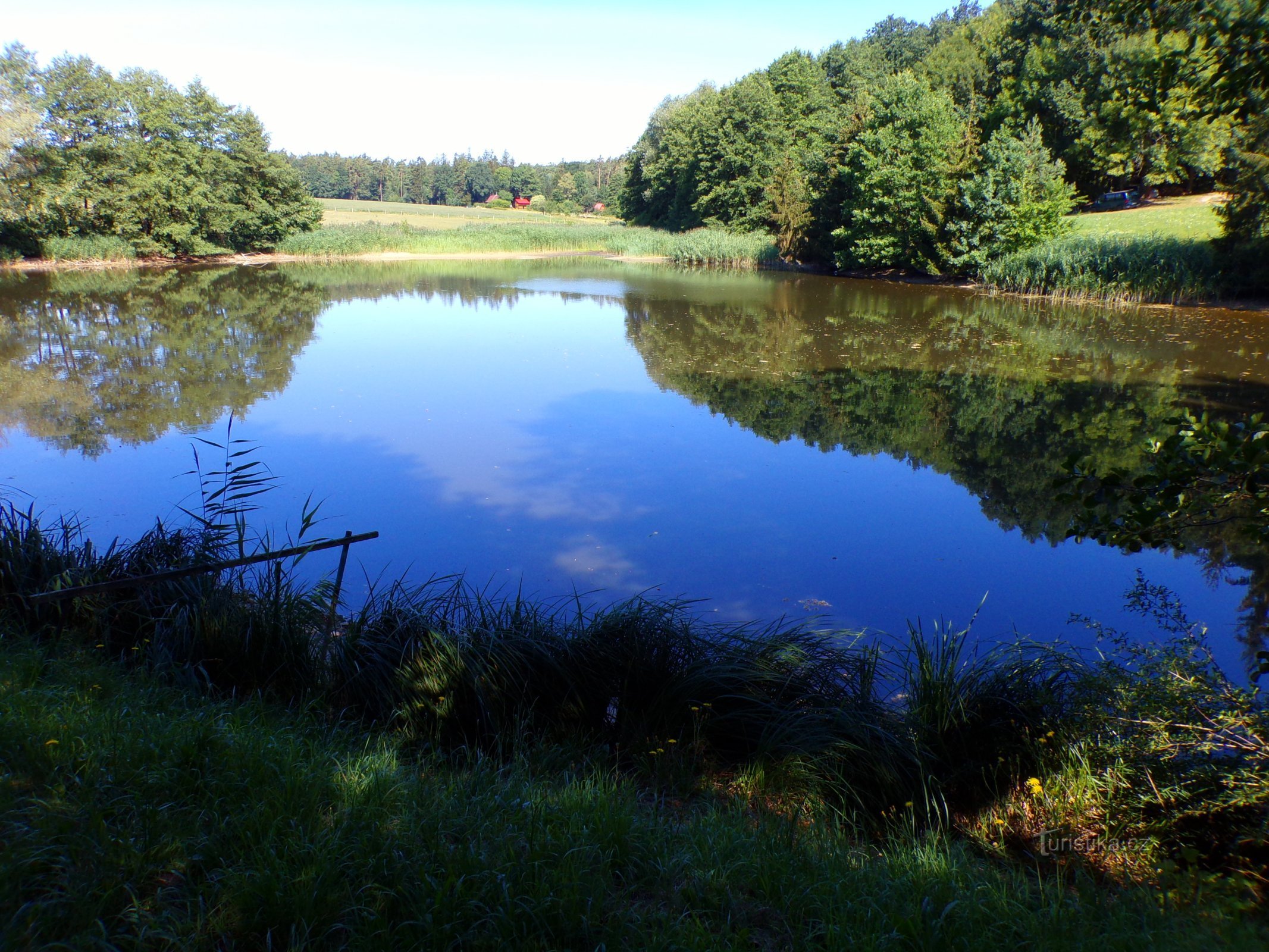 Býšť pond (Býšť, 3.8.2022/XNUMX/XNUMX)