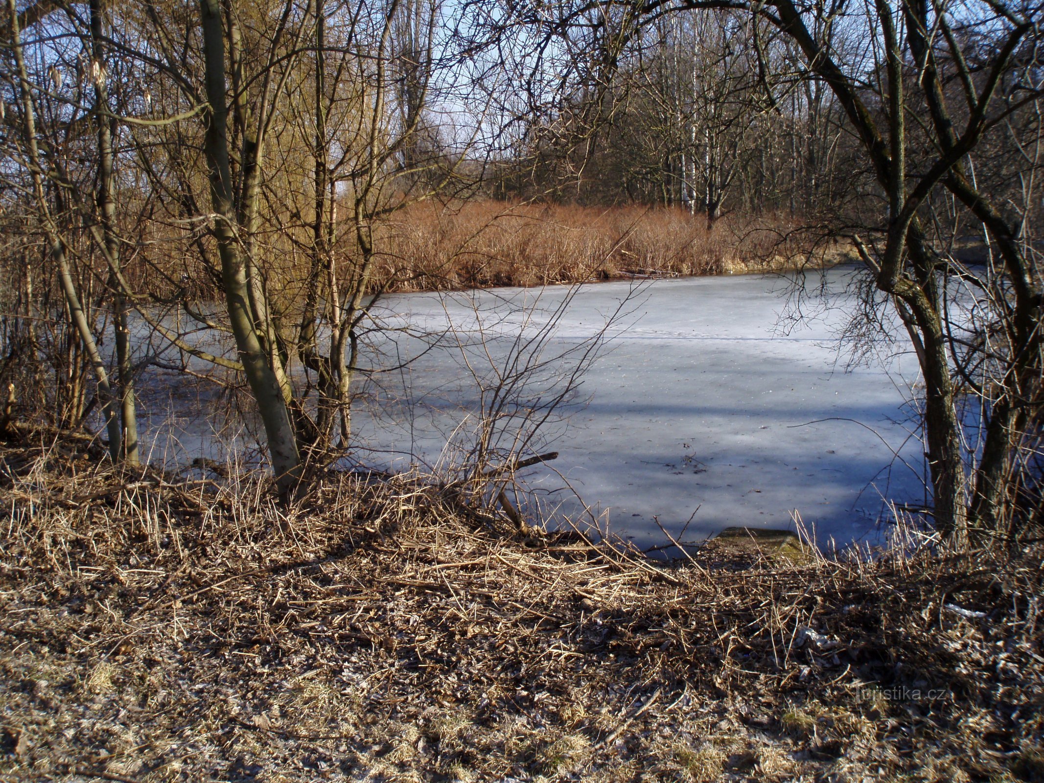 Dawny zbiornik młyński w pobliżu Březhradu (Hradec Králové)