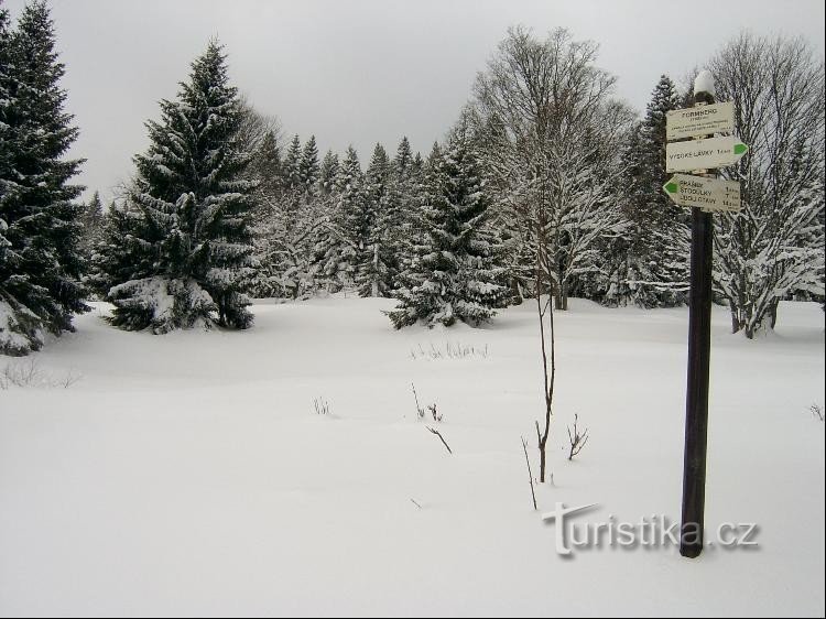 The former settlement of Formberg