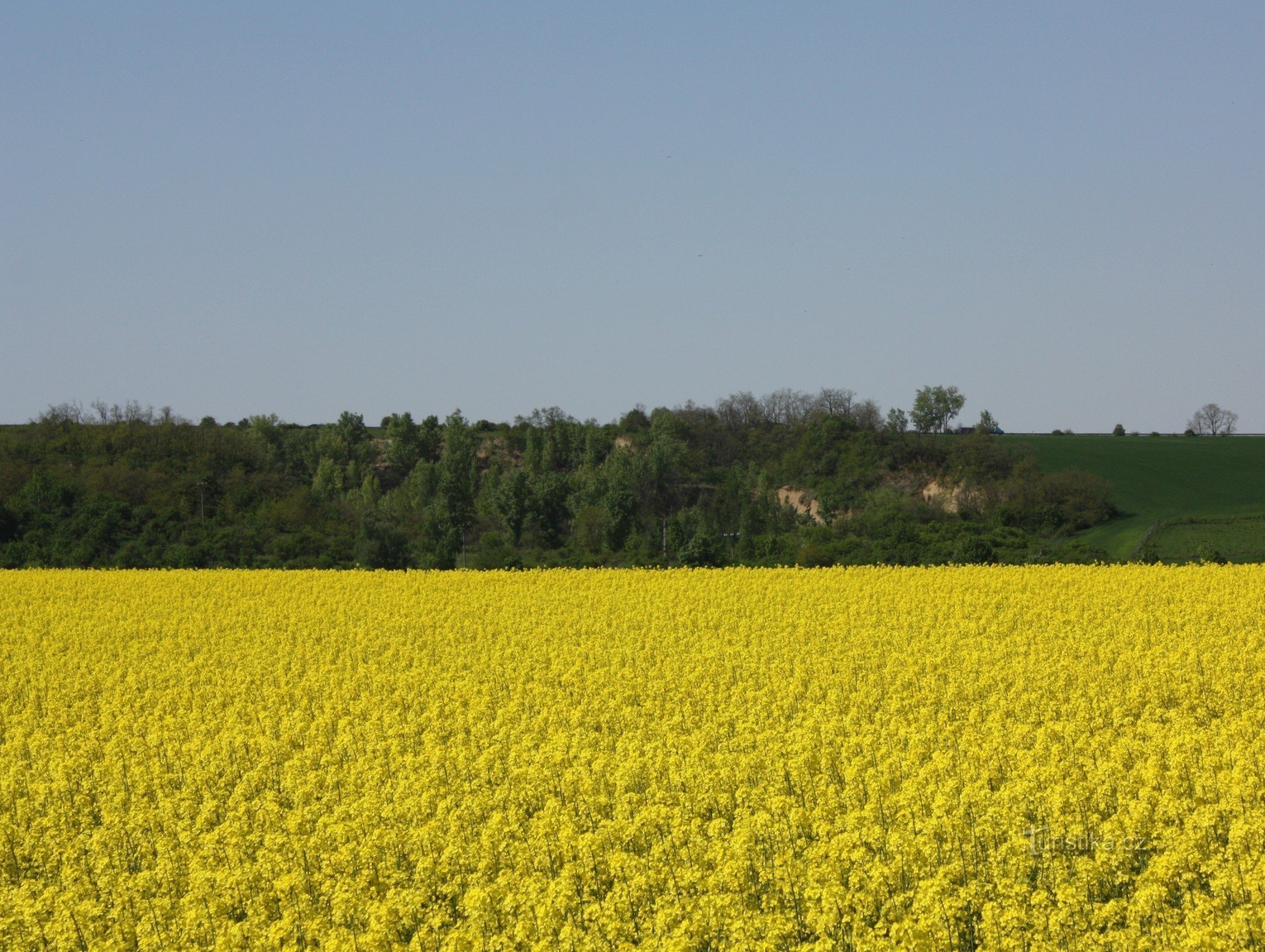 Колишній піщаний кар'єр «Змолє