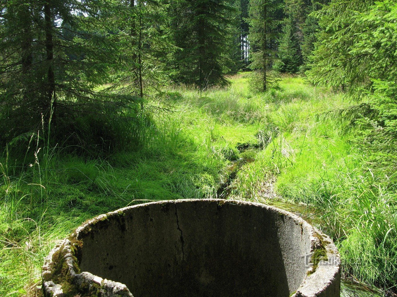 Entinen Rosenauerin tekojärvi, jossa on ruma betonirengas