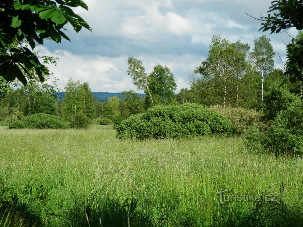 Former shooting range of the Soviet Army