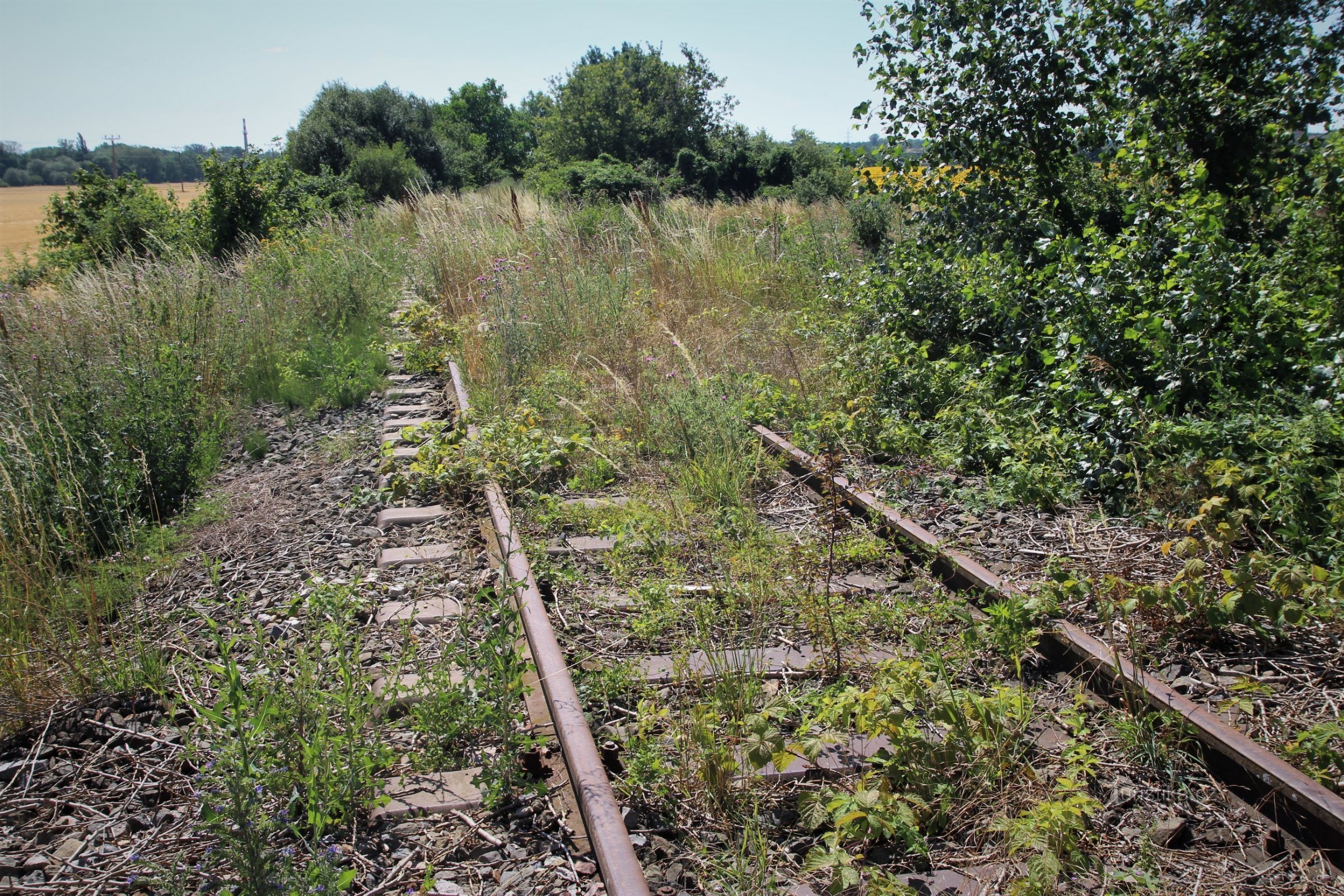 antigua línea de ferrocarril