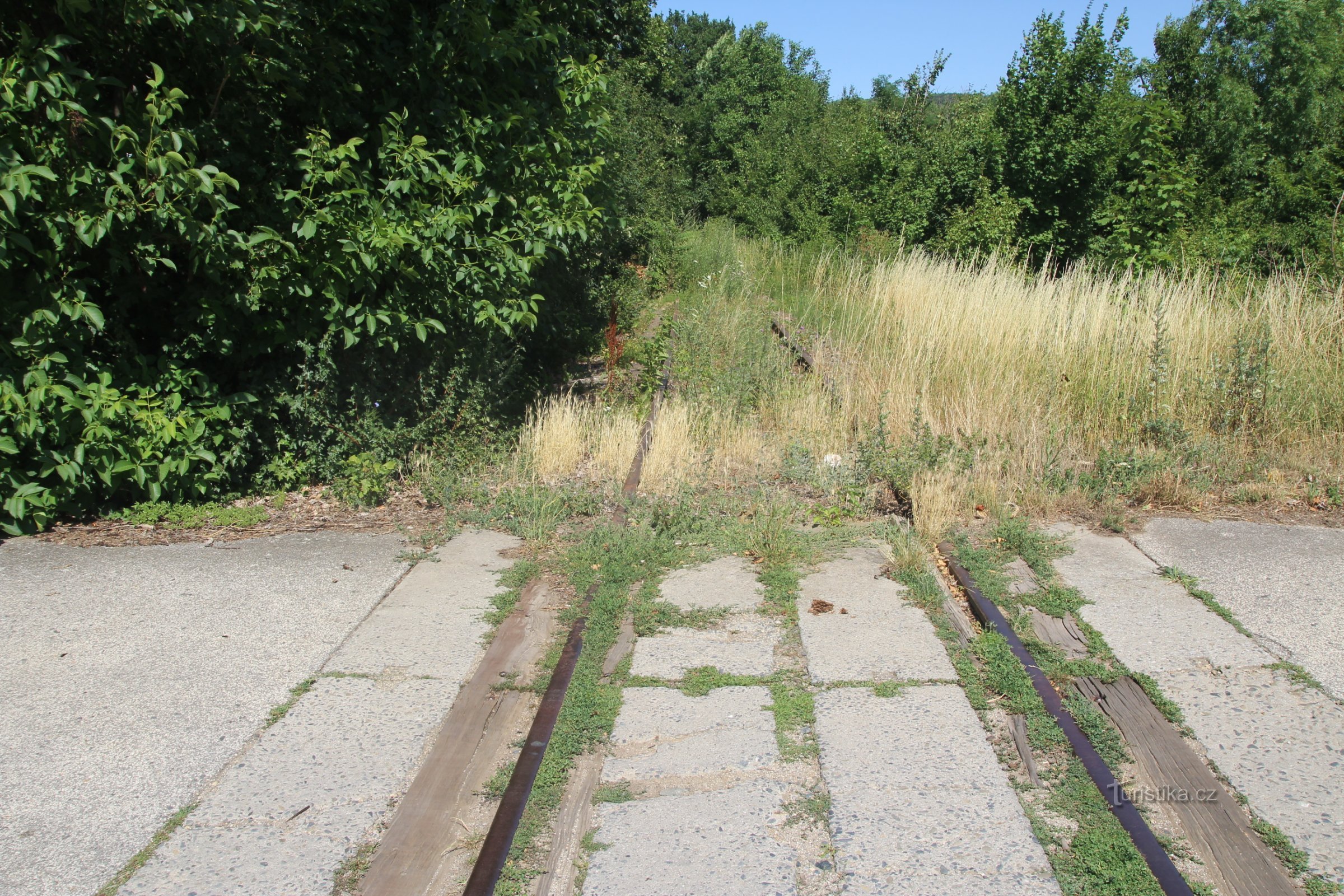 antigua línea de ferrocarril