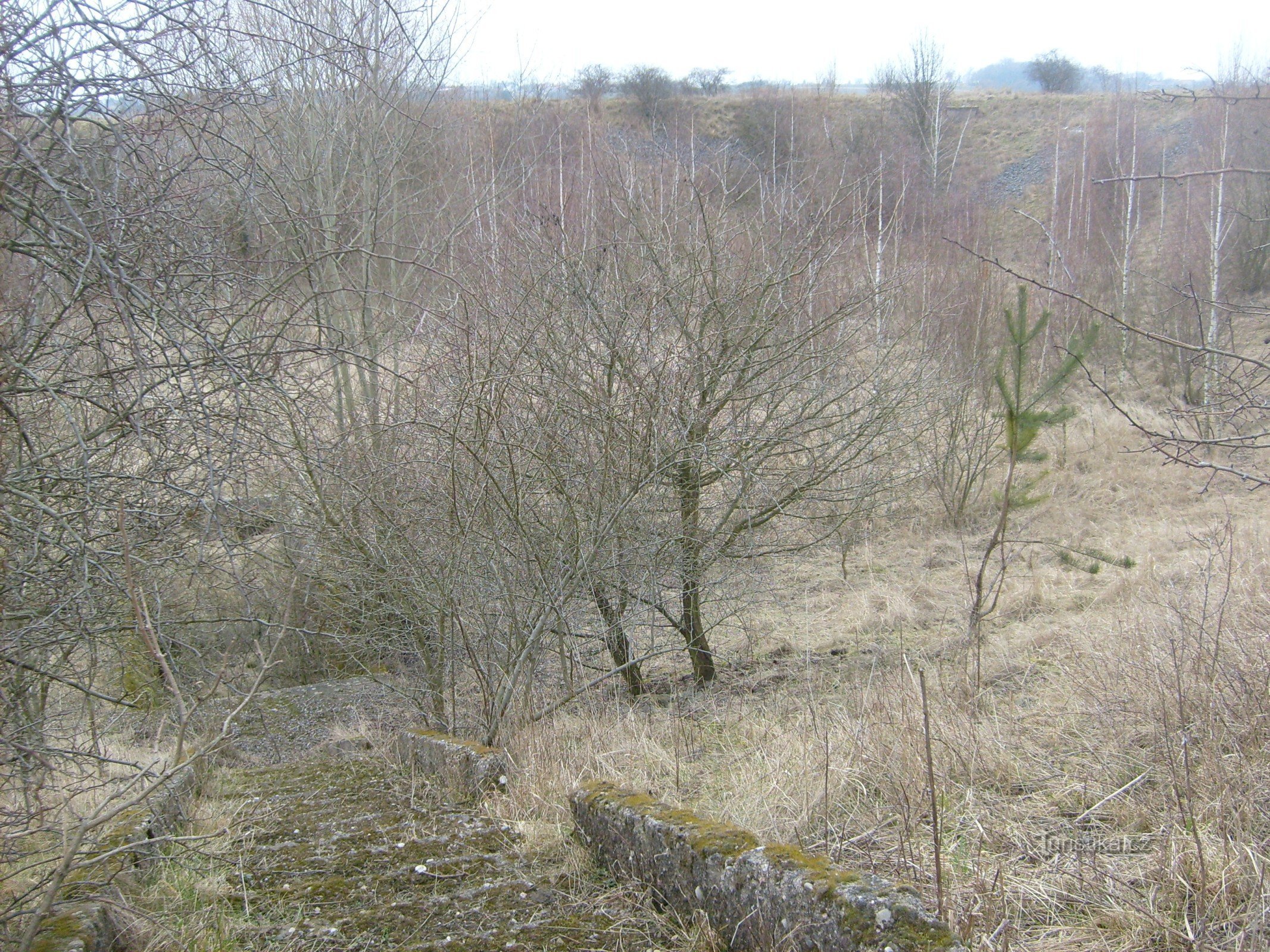 The former Skupice agricultural reservoir