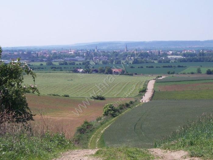 bývalé vinohrady