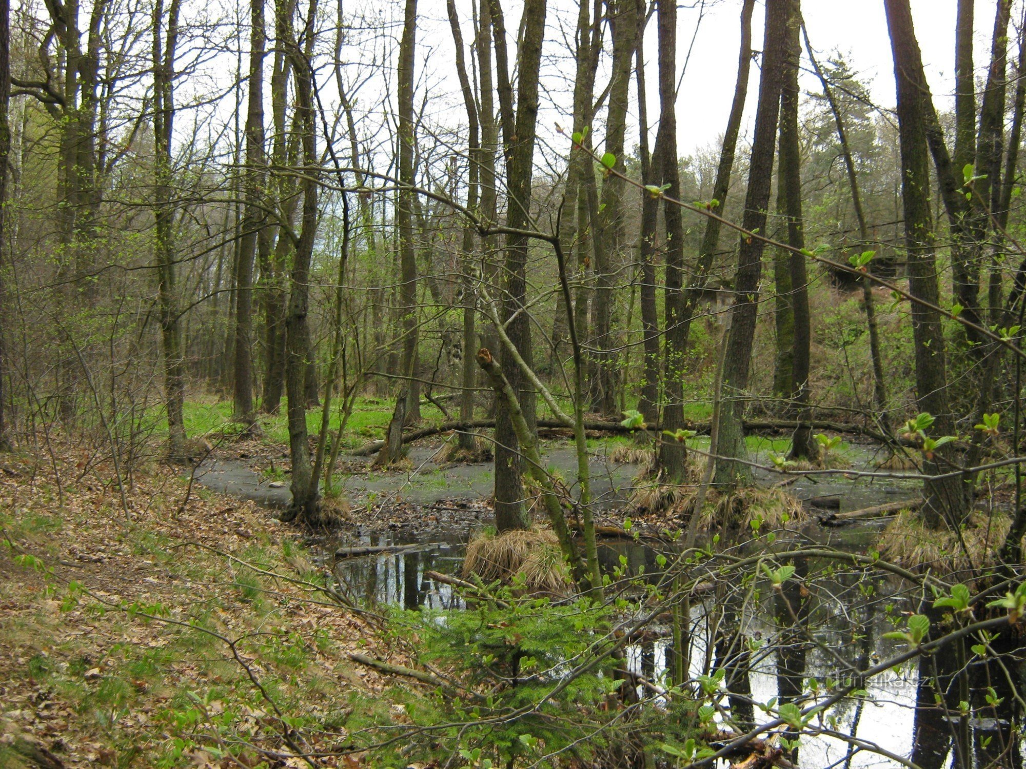 前 Holský rybník - 在国家铁路 Břeclav - 布拉格建设期间排水