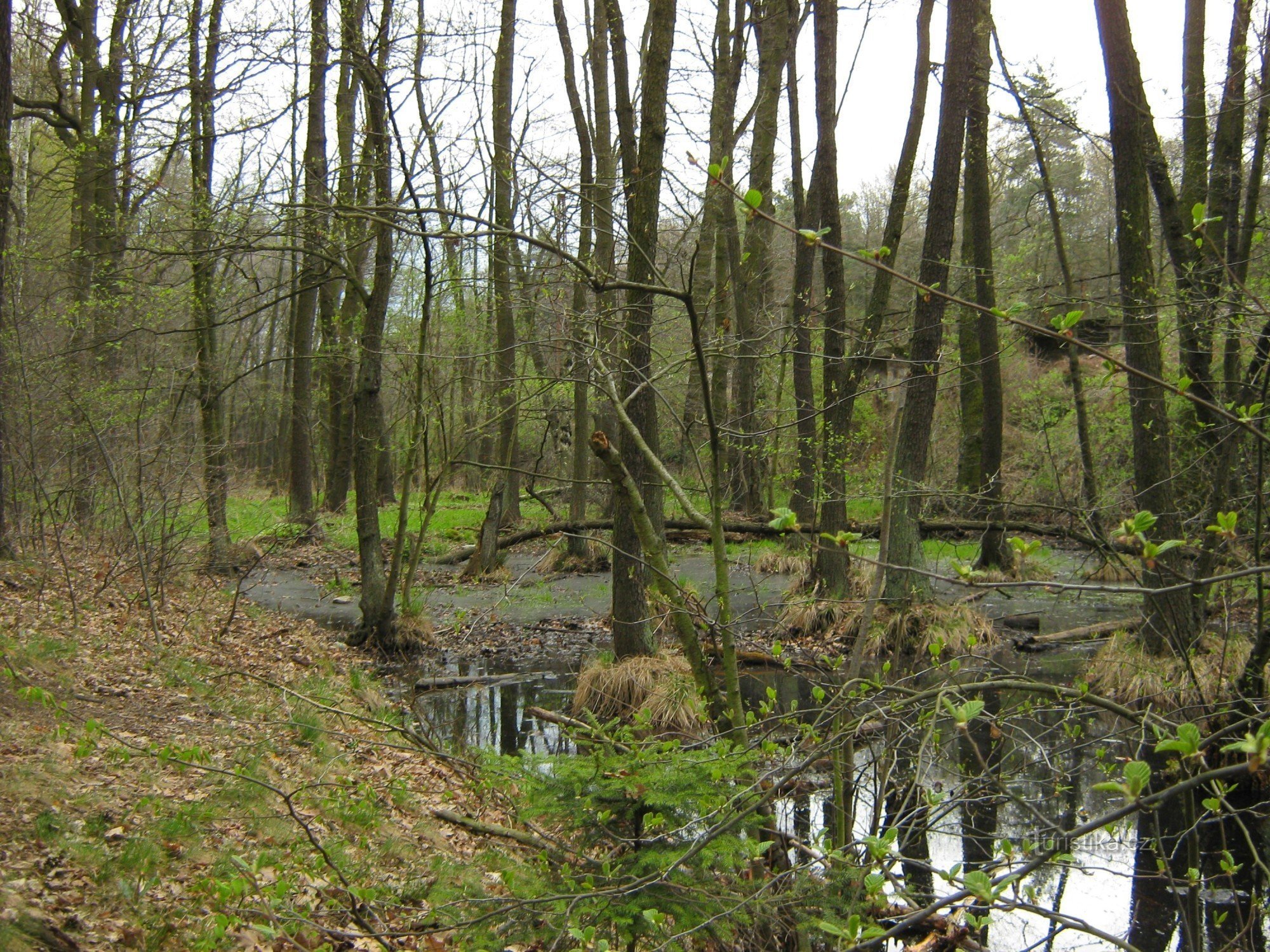 ancien Holský rybník - drainé lors de la construction du chemin de fer national Břeclav - Prague