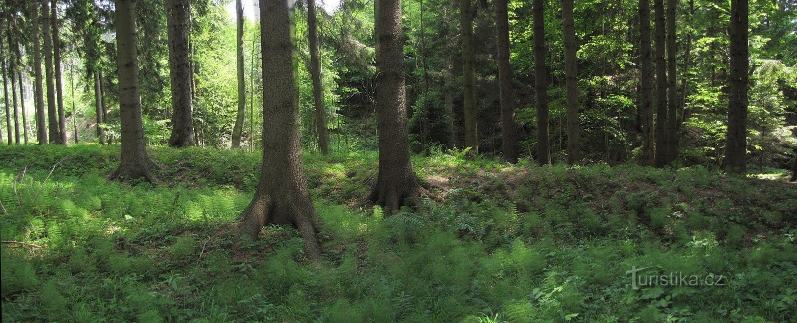 ein ehemaliger Teich, der zu einem nicht mehr existierenden Dorf gehört