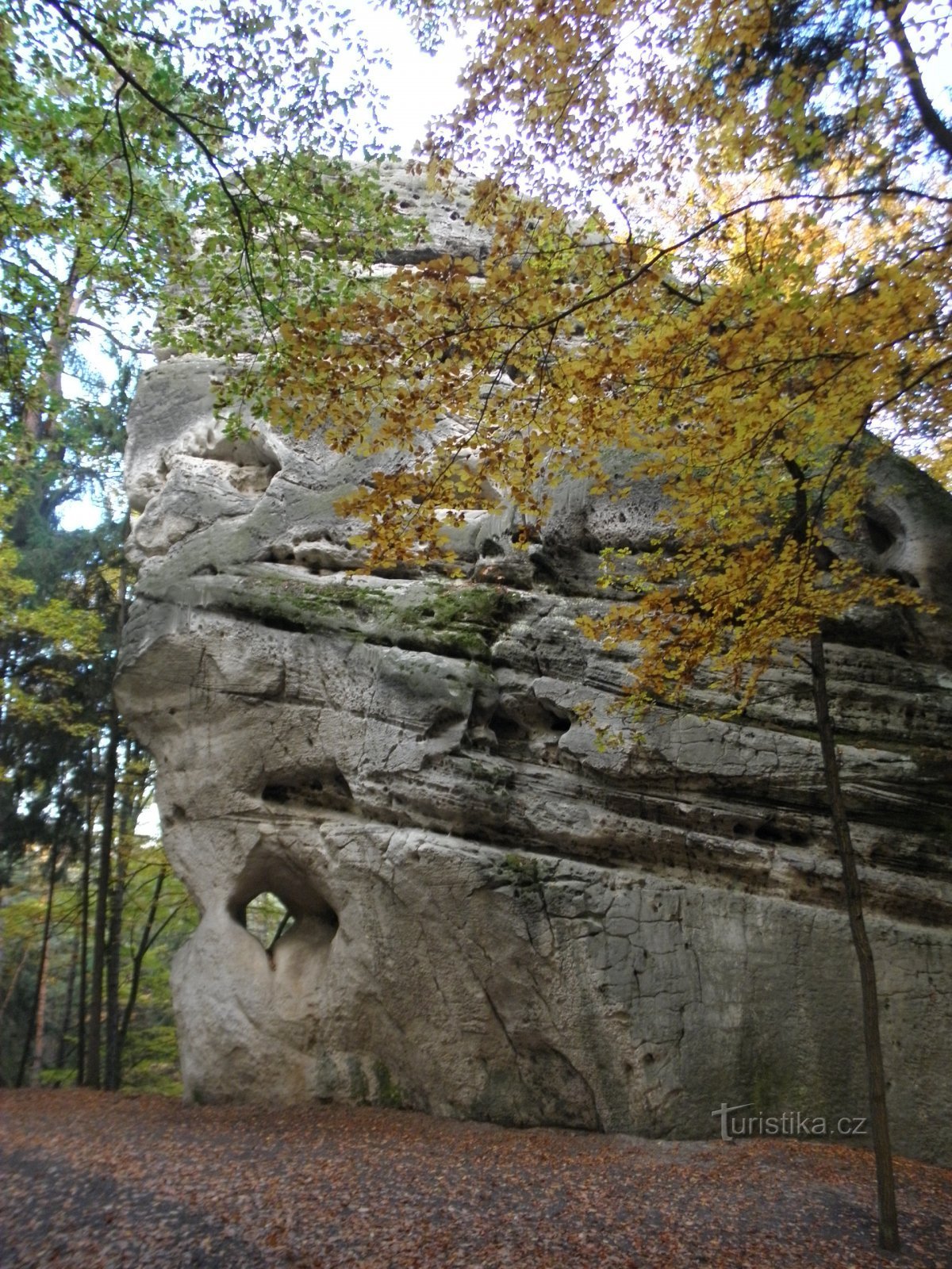 (c) ČSOP - Czech Association of Nature Protectors