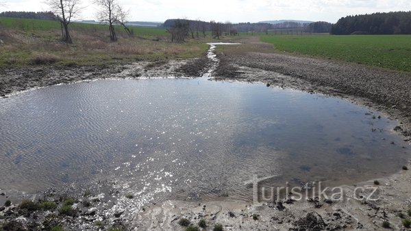 (c) Wälder der Tschechischen Republik