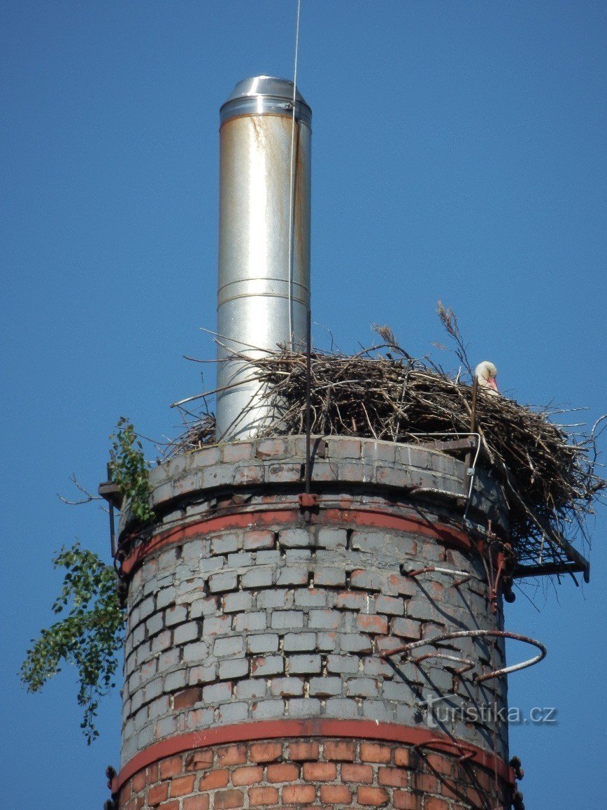 Nid de cigogne sur la cheminée