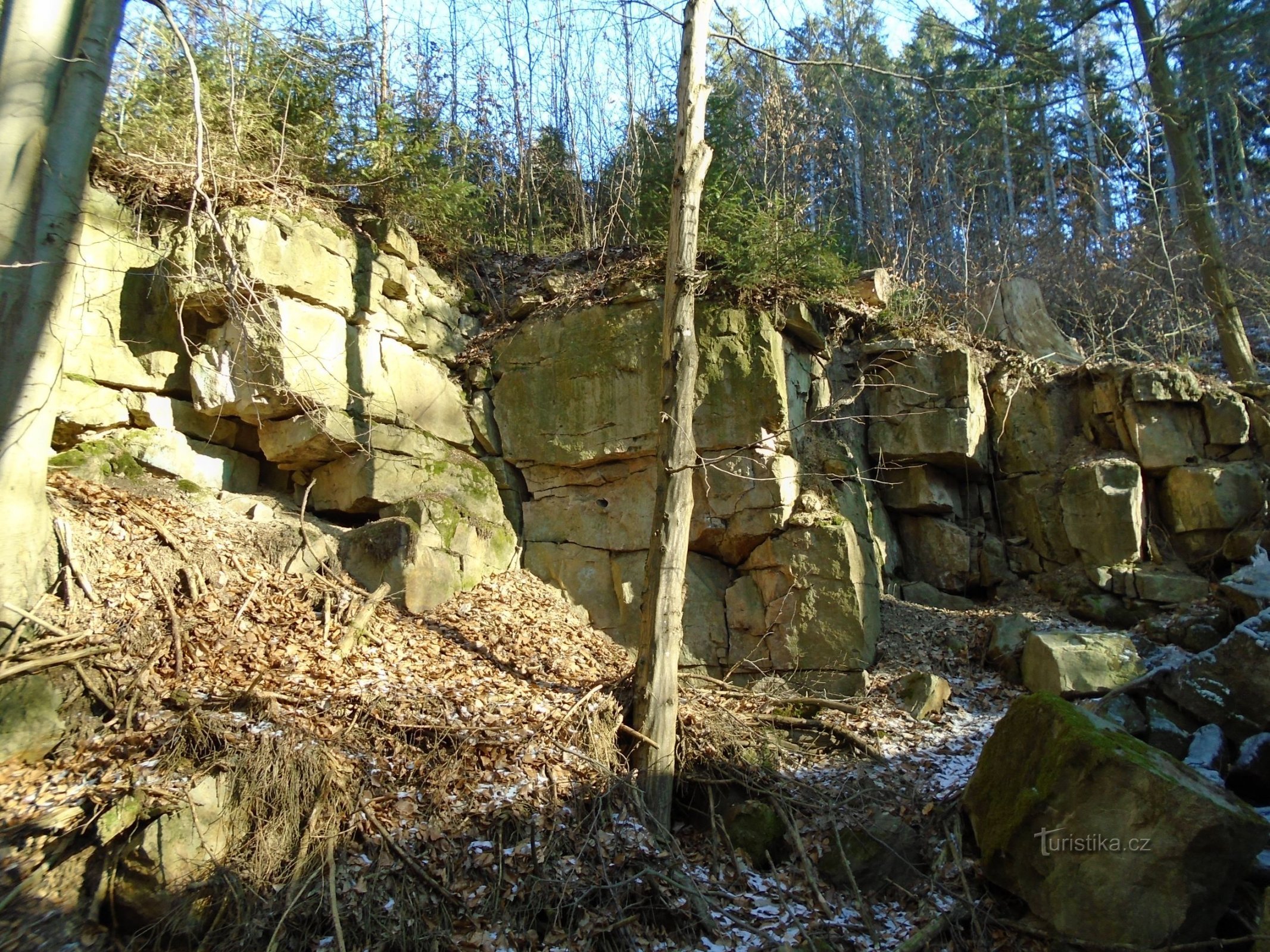 Teil von Jelení Rokle (Slatina nad Úpou, 21.3.2018)