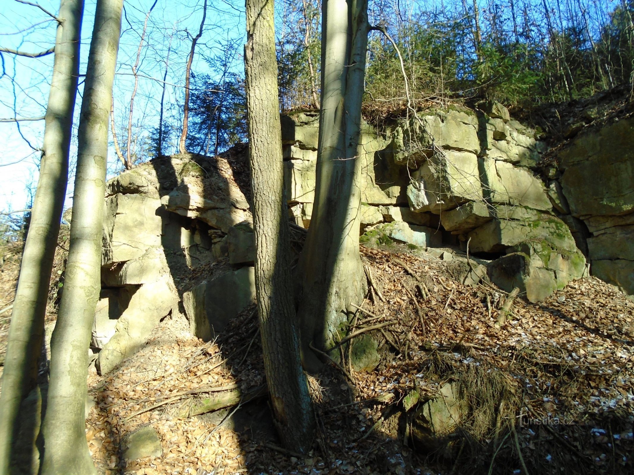 Teil von Jelení Rokle (Slatina nad Úpou, 21.3.2018)