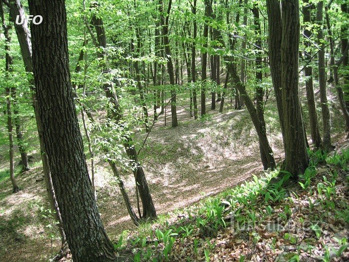 part of the moat - Hrádek