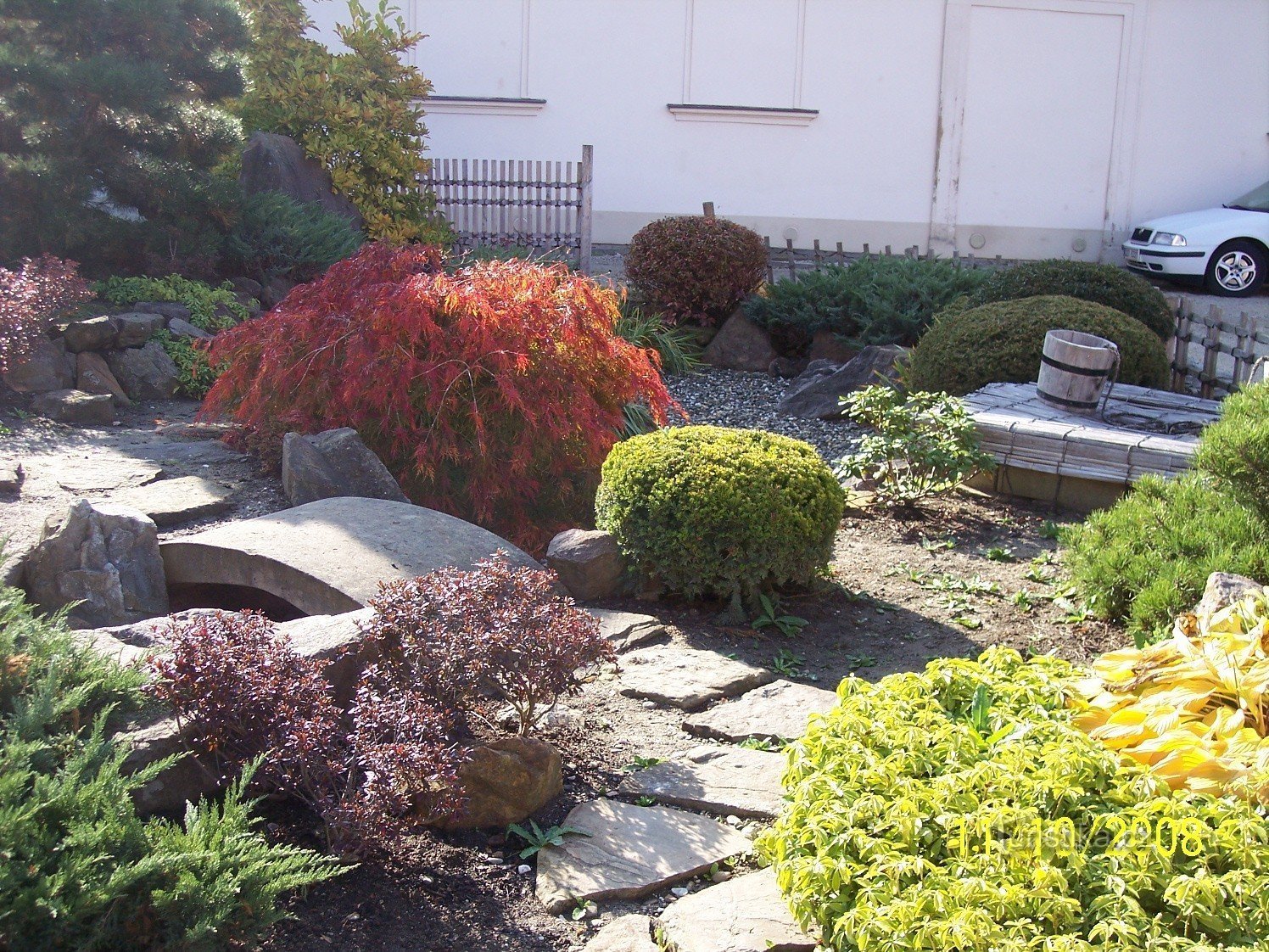 parte del jardín - plantas y piedras