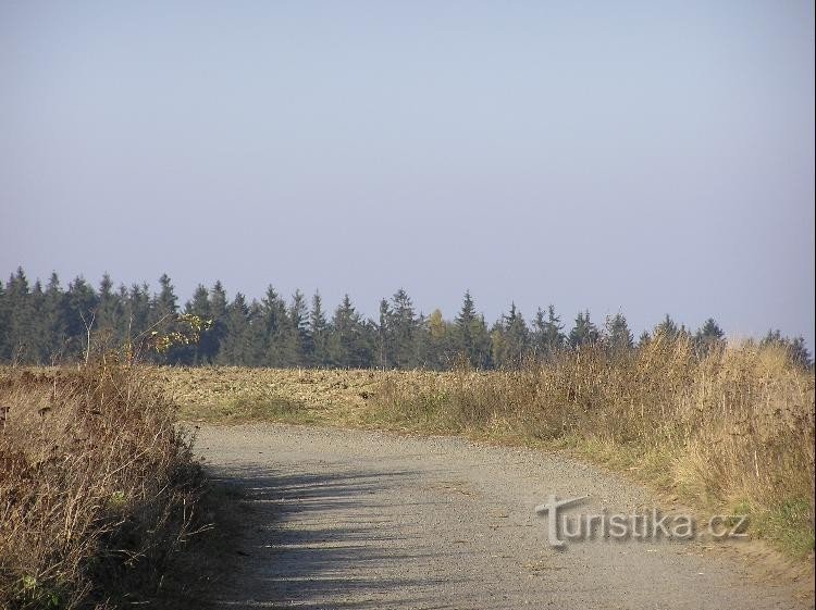 Častochov: Bakke