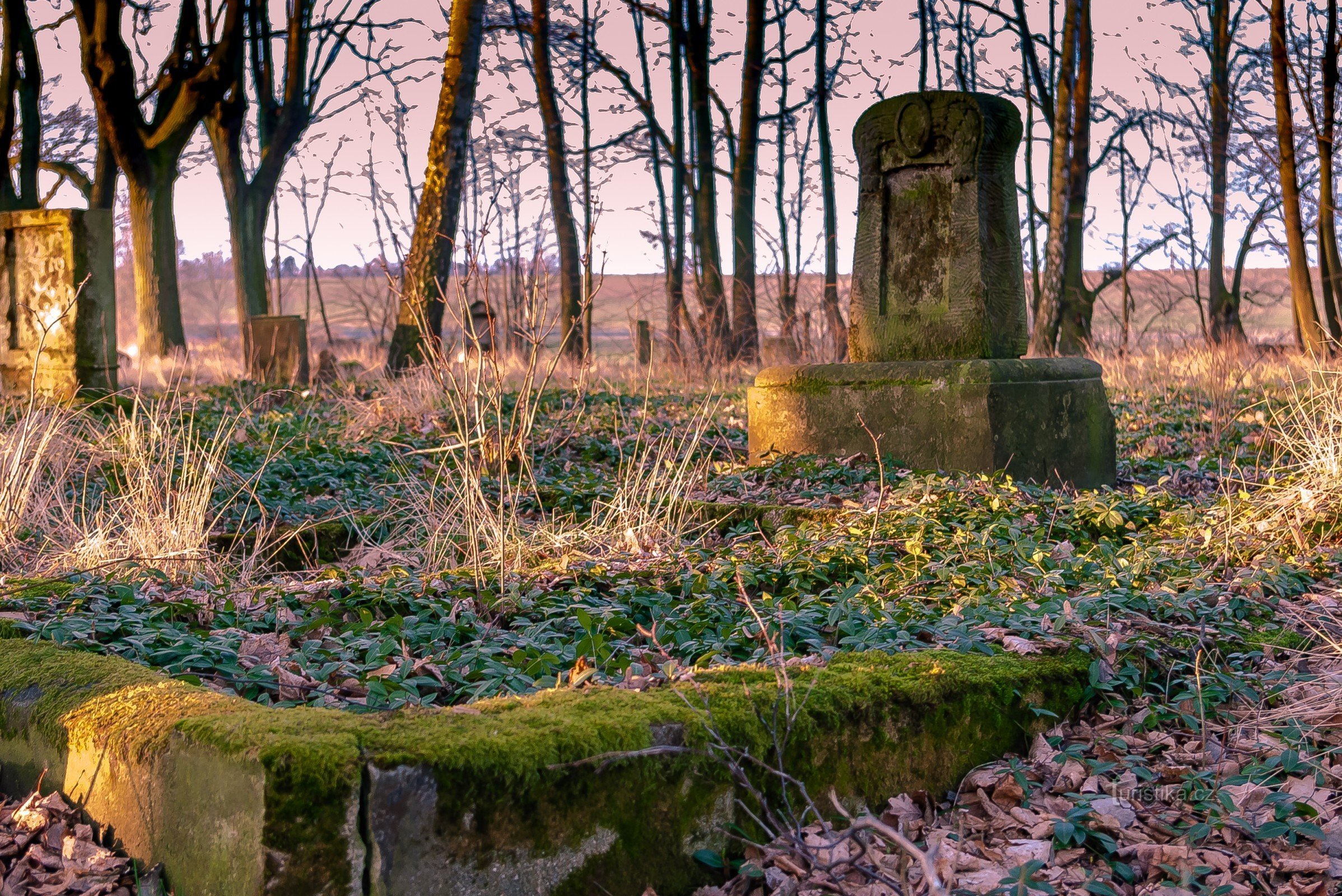 Častolowitz-groblje (Schasslowitz-Friedhof)