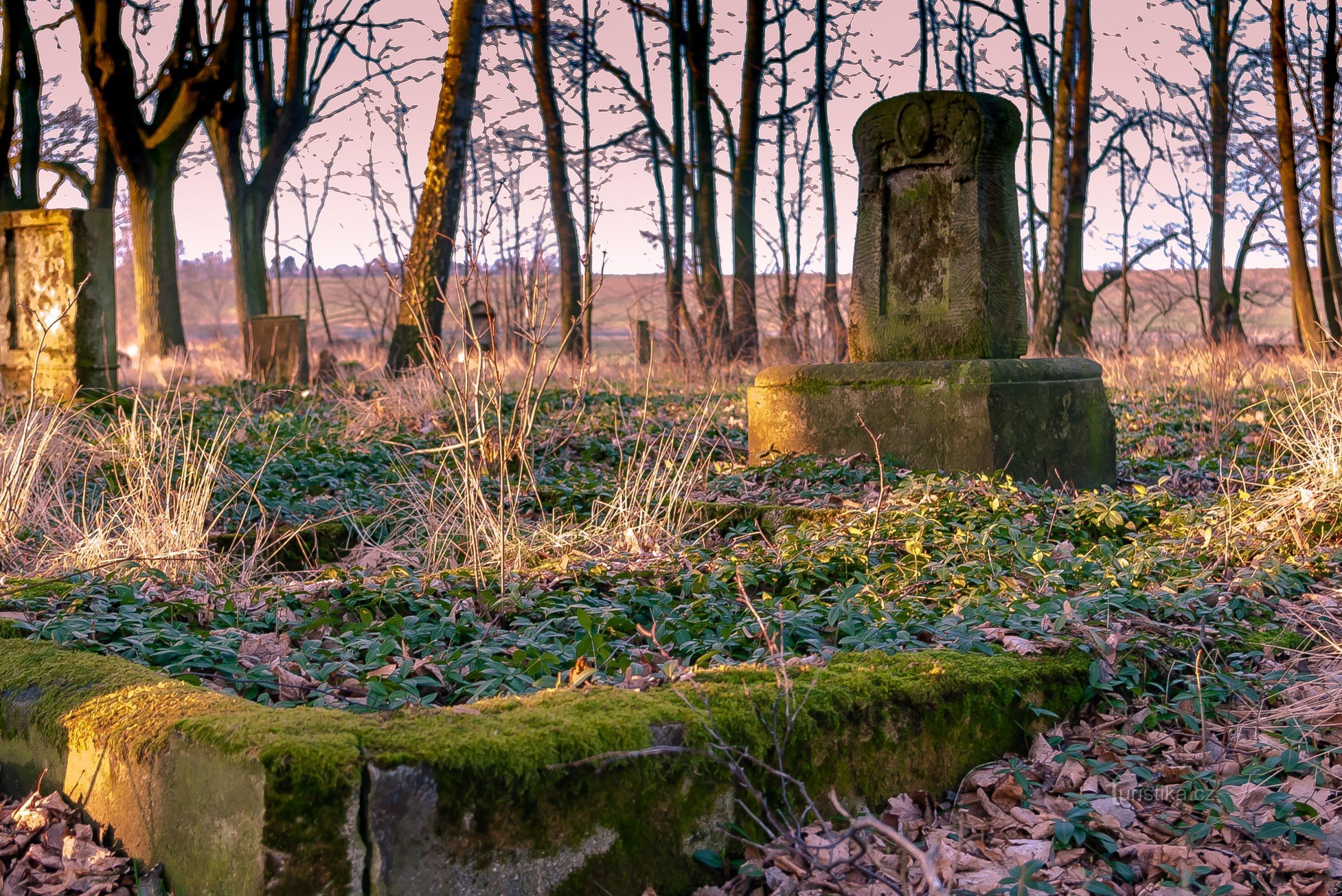 Častolowitz-kirkegården (Schasslowitz-Friedhof)