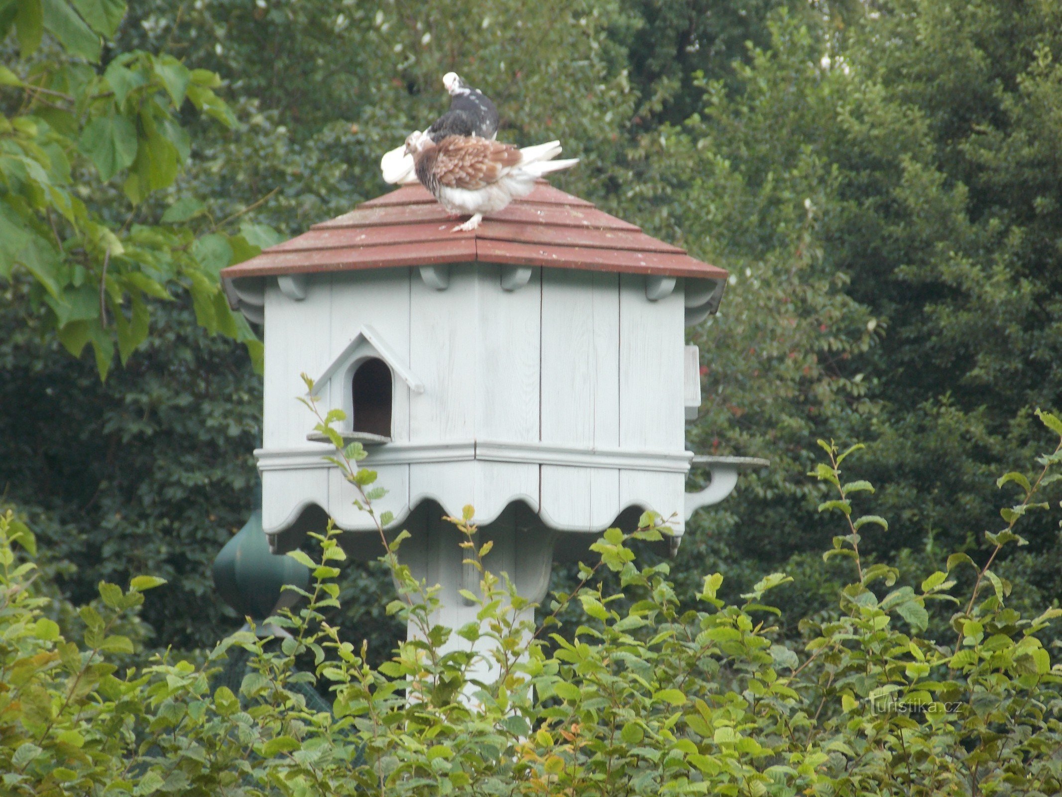 Častolovice - MINI - ZOO dans le jardin du château