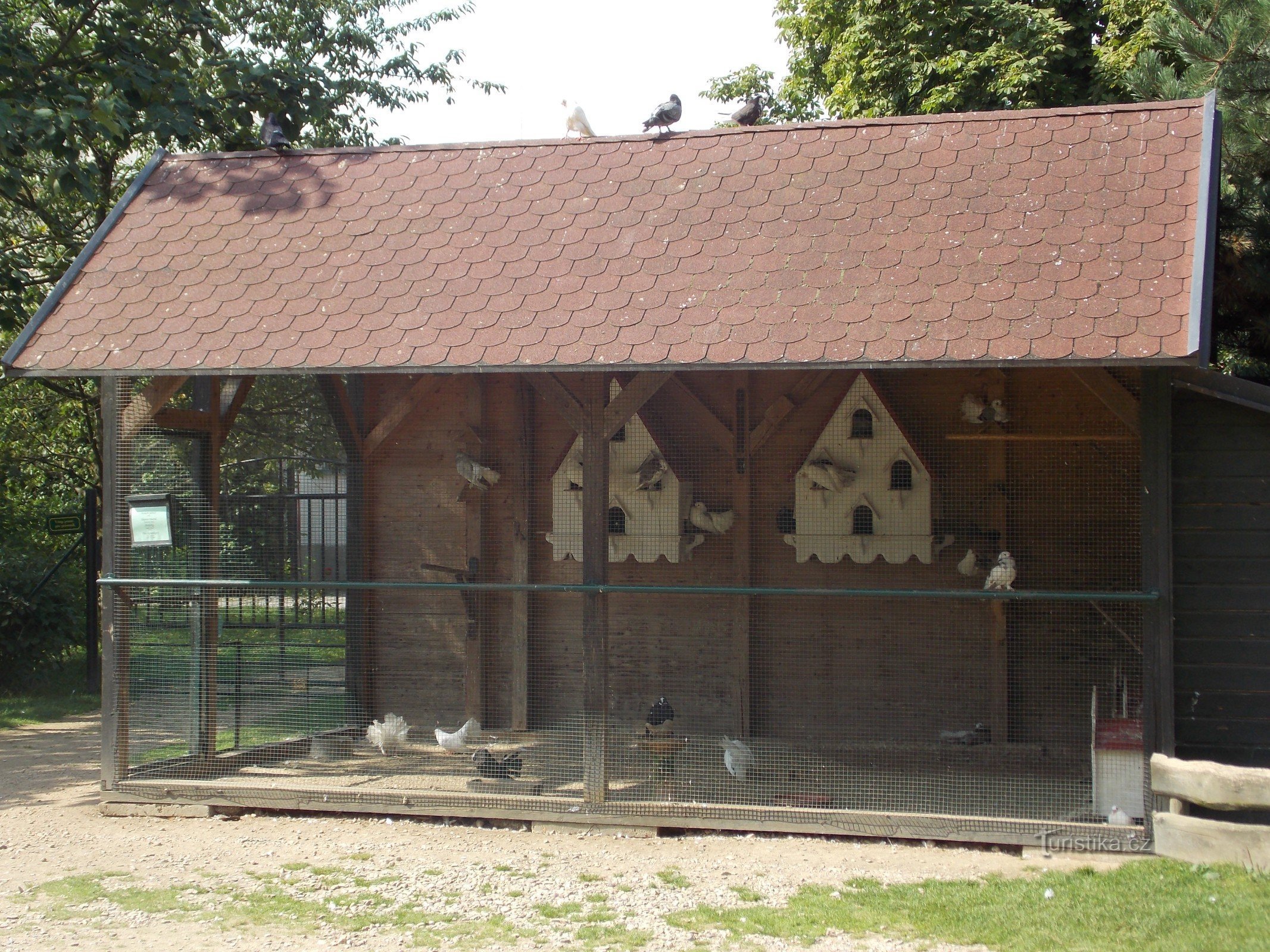 Častolovice - MINI - Állatkert a kastély kertjében