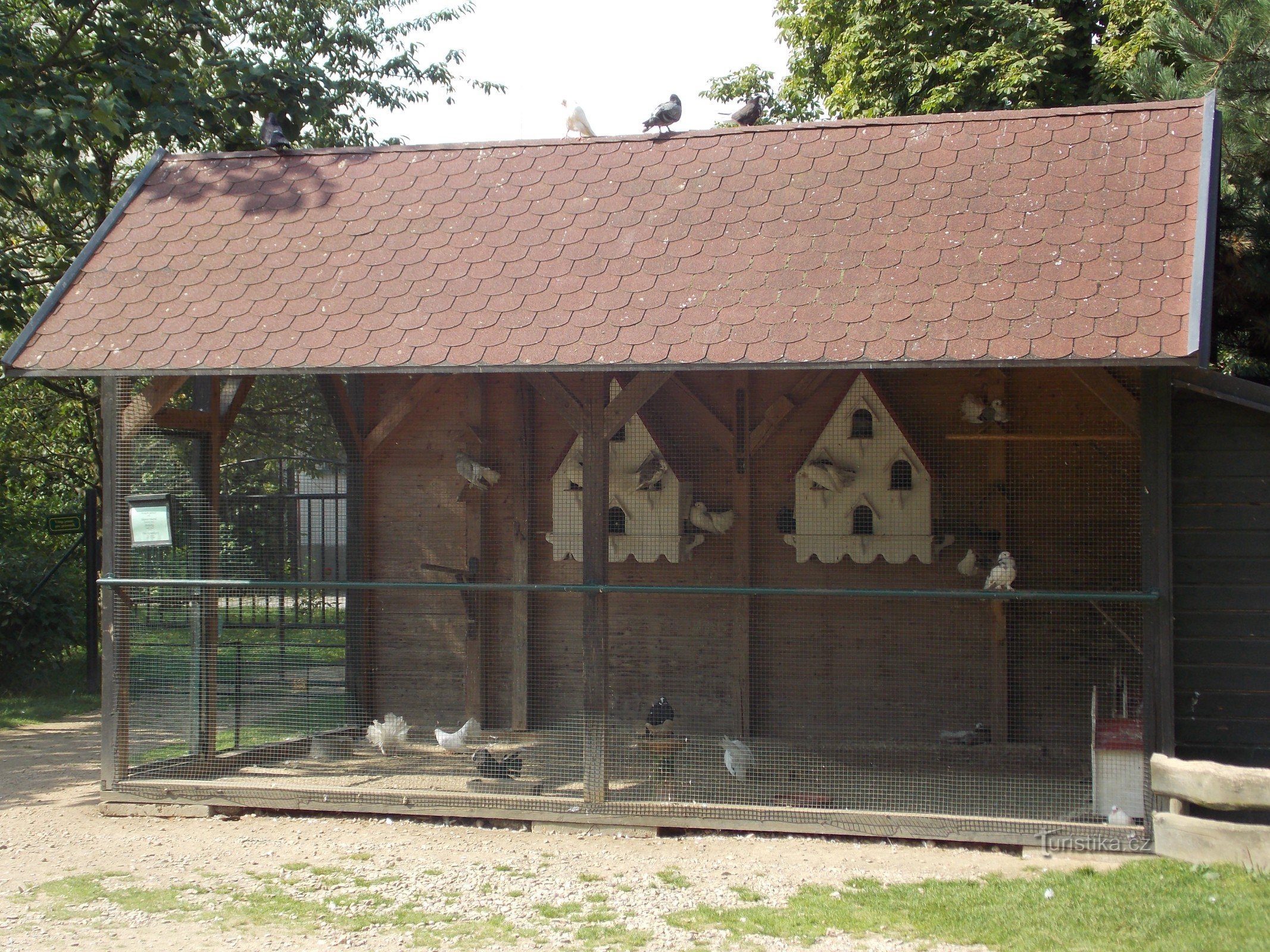 Častolovice - MINI - ZOO no jardim do castelo